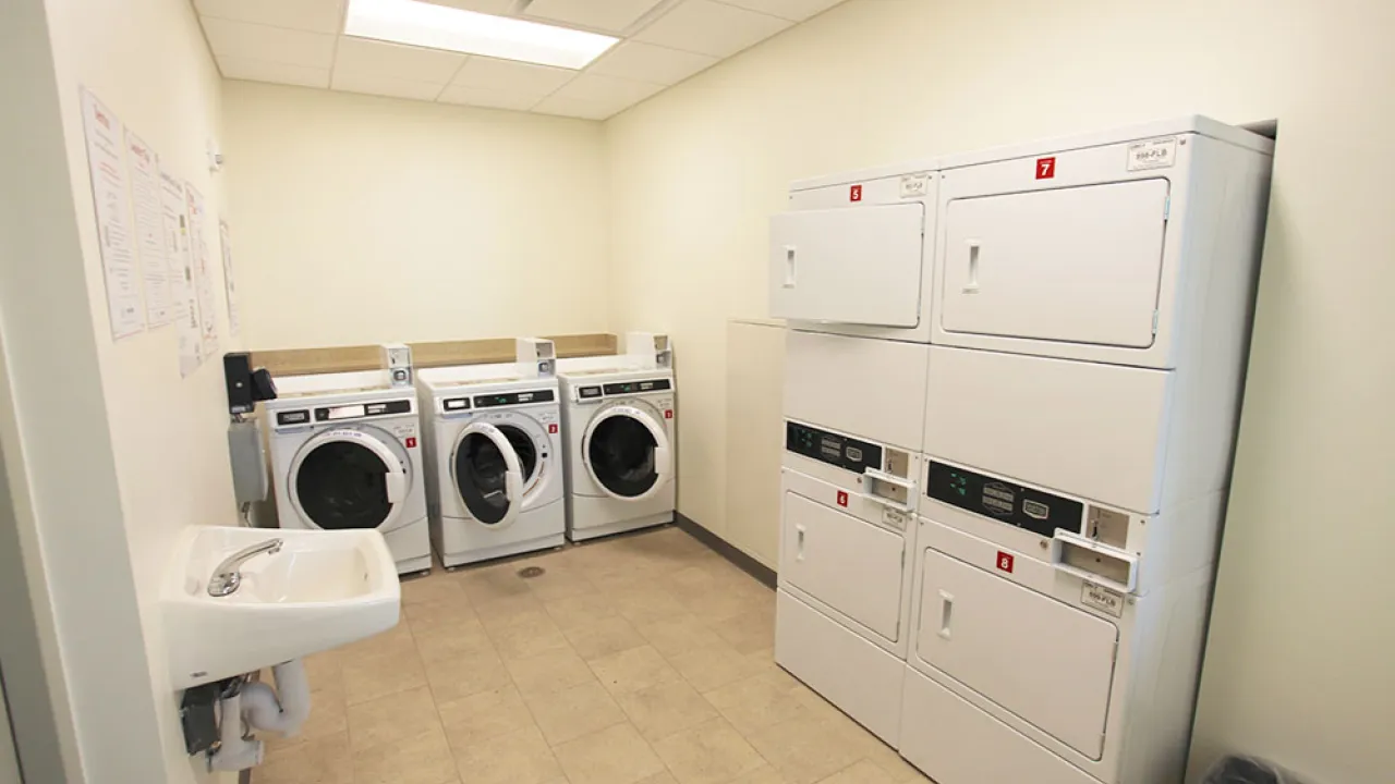 Levine, Laundry Room