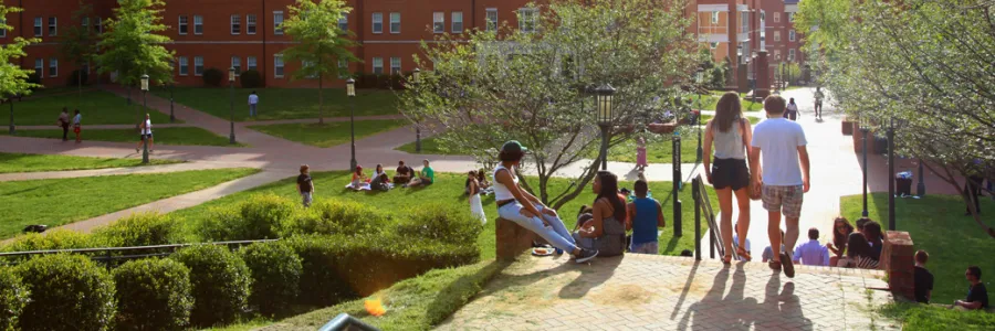 Students being active around the campus