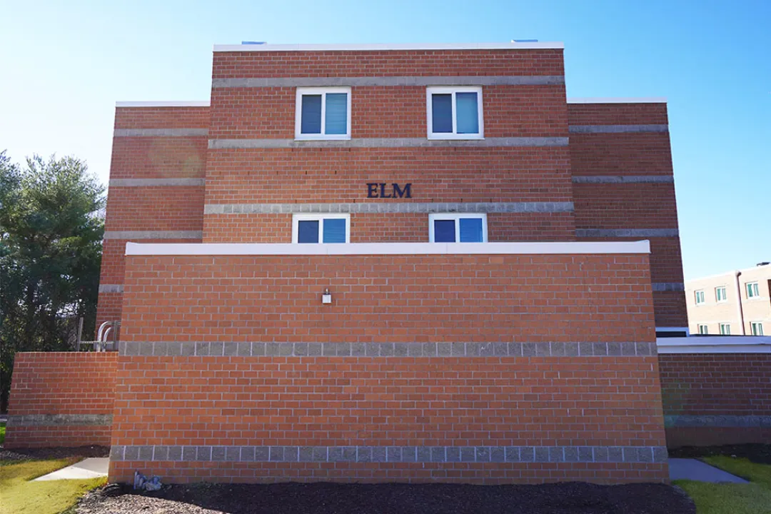 Elm, Exterior 2
