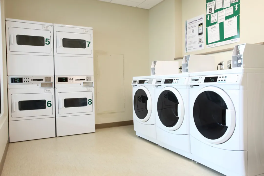 Hunt, Laundry Room