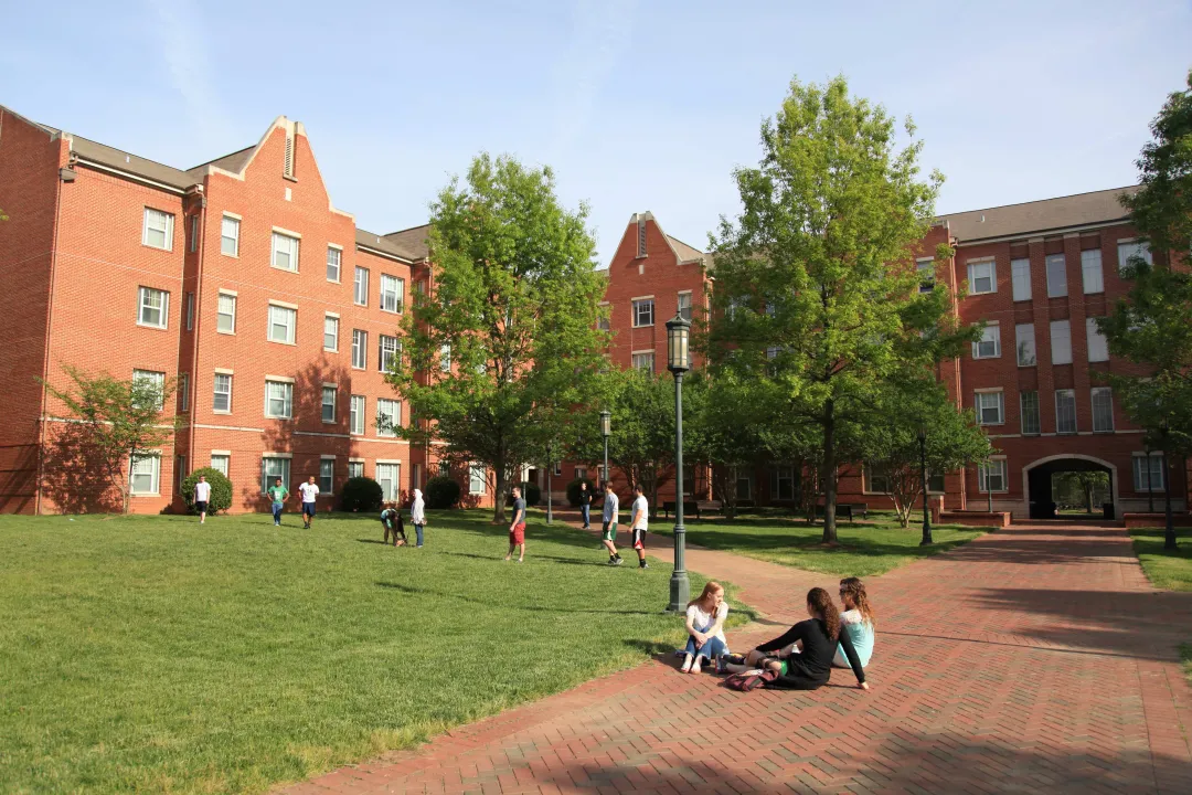 Students sitting outside in courtyard
