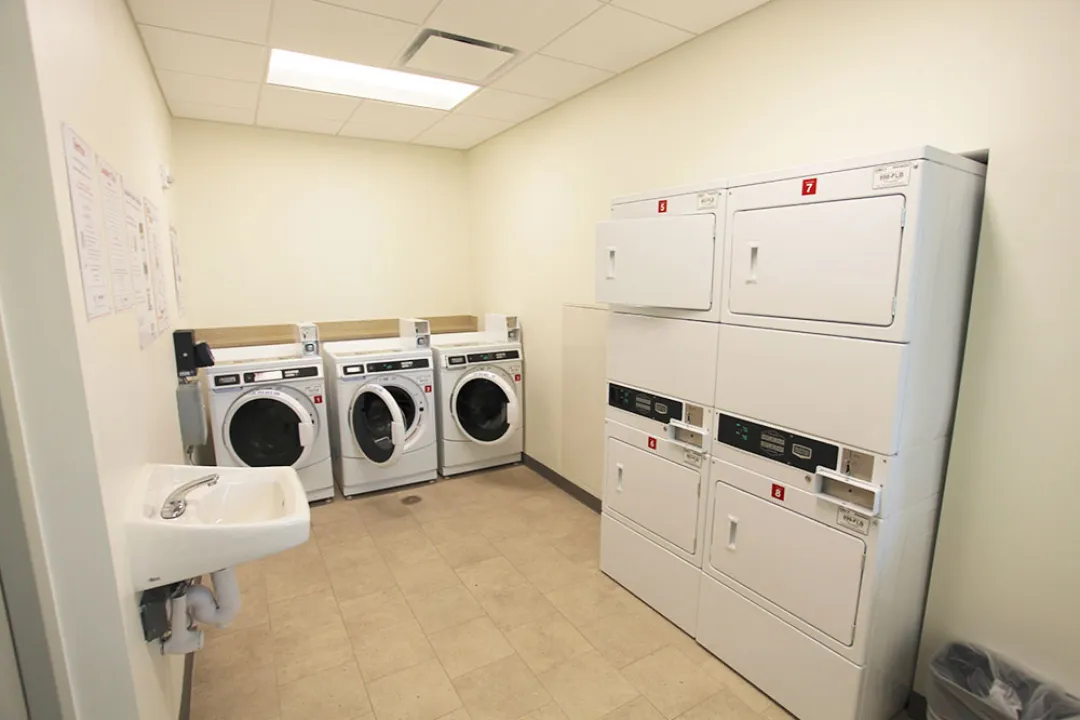Levine, Laundry Room