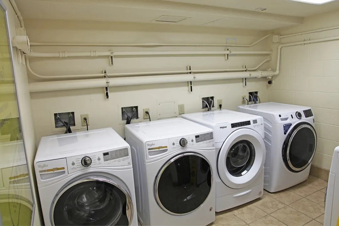 Maple, Community Laundry