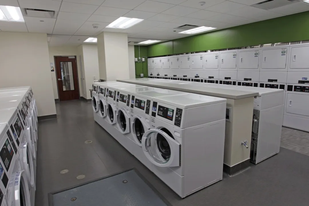 P16, Laundry