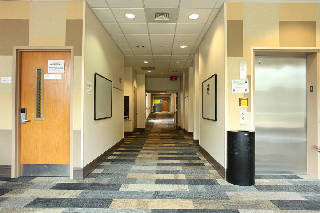 Wallis, Elevator