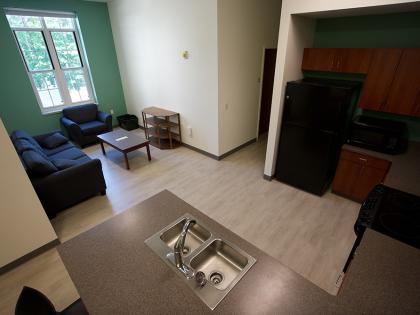 Levine, 4-4 Apartment