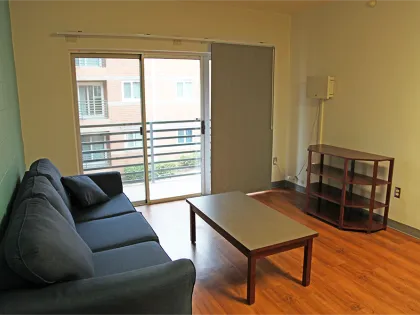 Maple, 4-4 Apartment- Living Room With Balcony