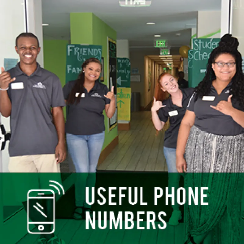 Useful Phone Numbers