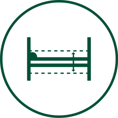 Bed (Bunked or raised)